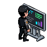 Data Analyst