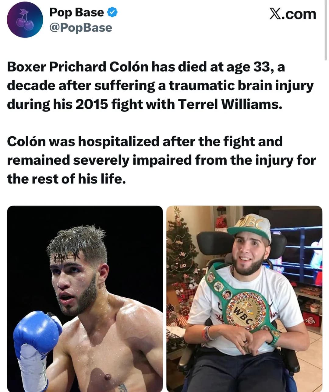 The Enduring Echo of Prichard Colón's Story: A Legacy Beyond the Ring